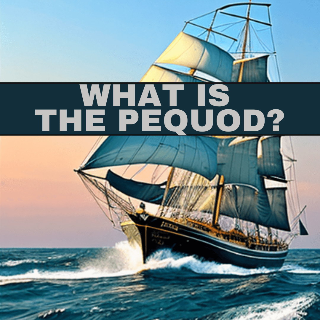 What is the Pequod? A Whale of a Journey