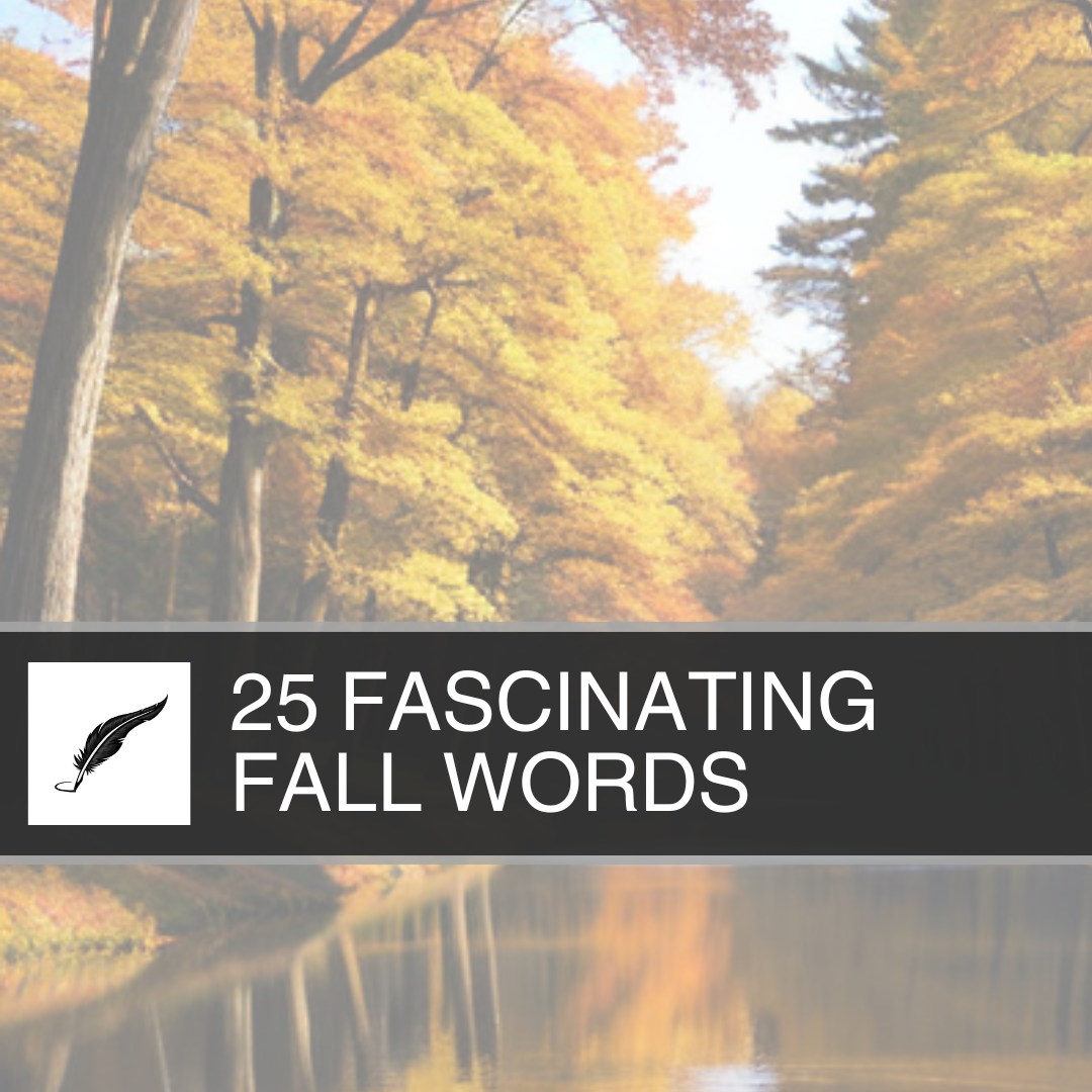25 Fascinating Fall Words