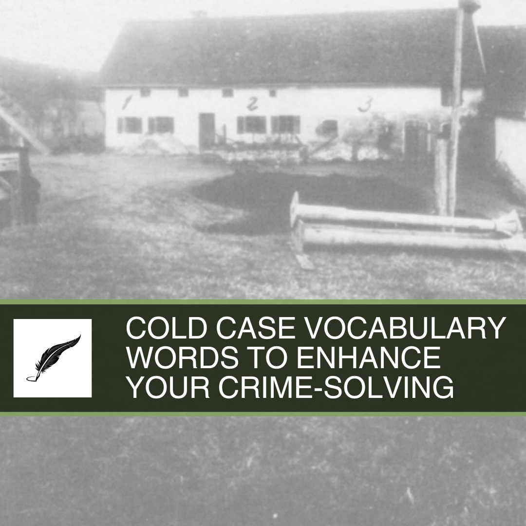 Cold Case Vocabulary Words to Enhance Your Crime-Solving